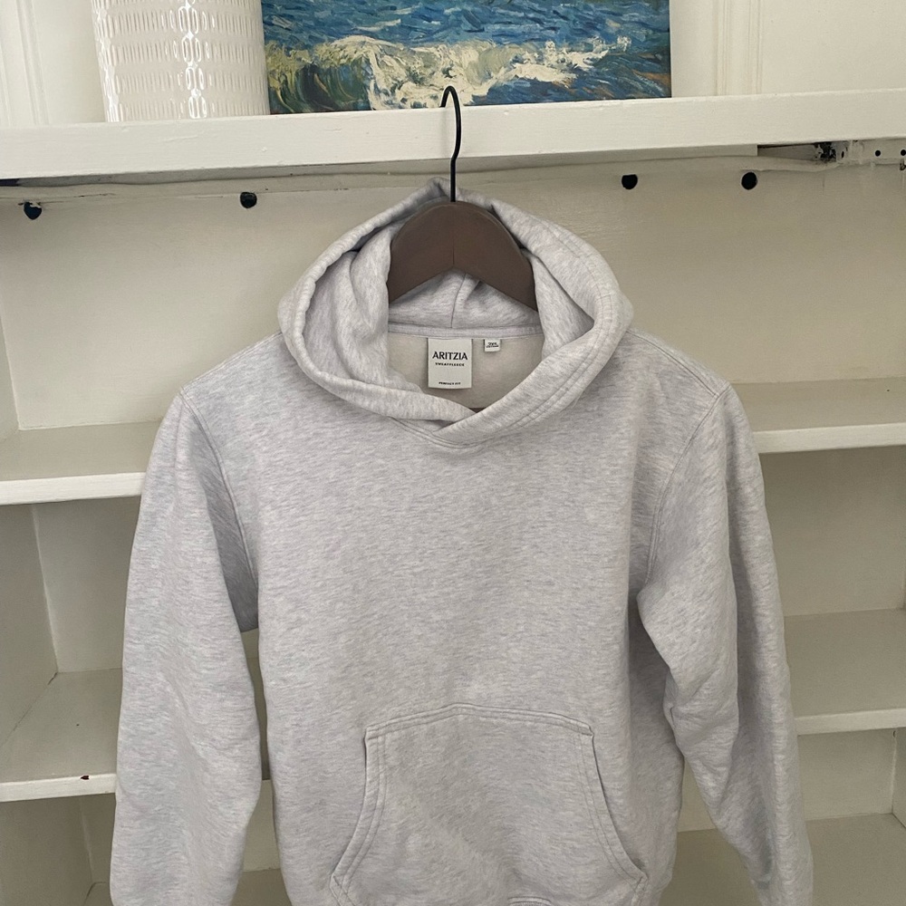Aritzia Light Gray Women’s Sweatfleece Hoodie 2XS